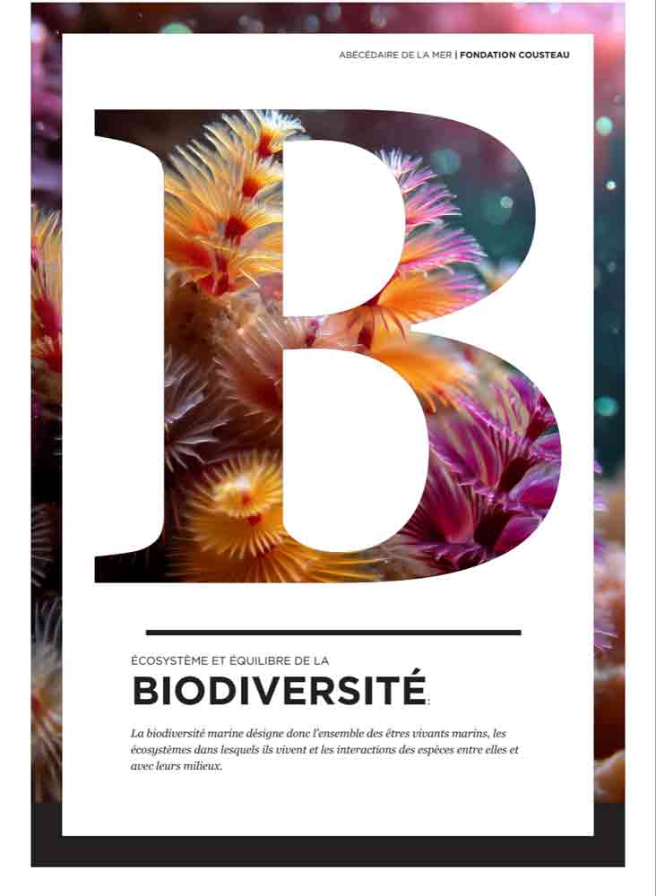 Visuel éditorial "Abécédaire de la Mer" pour la Fondation Cousteau - lettre B géante en clipping mask laissant apparaître une macro-photo de coraux aux couleurs flamboyantes (orange, rose, violet). Texte en bas sur fond blanc : "Écosystème et équilibre de la Biodiversité" avec une définition en italique. Design élégant et impactant qui mêle typographie audacieuse et photographie sous-marine.