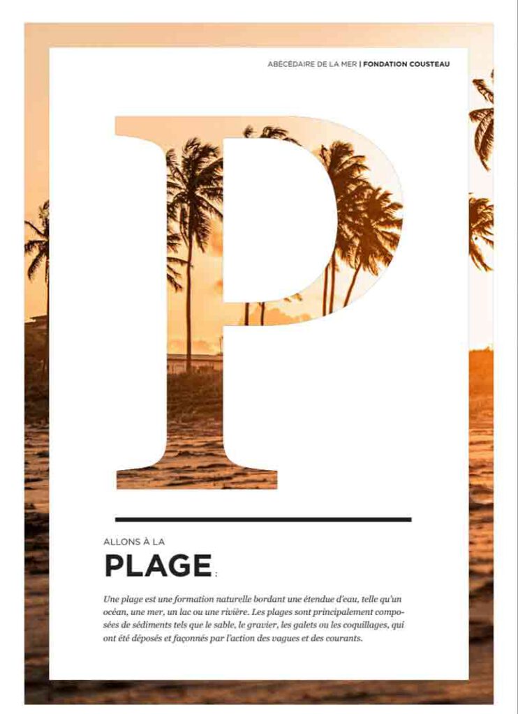 Visuel éditorial "Abécédaire de la Mer" pour la Fondation Cousteau - lettre P géante en clipping mask laissant apparaître un coucher de soleil sur une plage tropicale avec des palmiers aux tons chauds dorés et orangés. Texte en bas sur fond blanc : "Plage" avec sa définition en italique. Même série graphique élégante, ici avec une ambiance chaude et estivale.